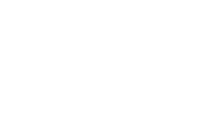 The Hutson Group